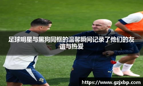 bsport必一官方网站