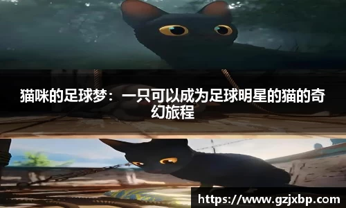 猫咪的足球梦：一只可以成为足球明星的猫的奇幻旅程
